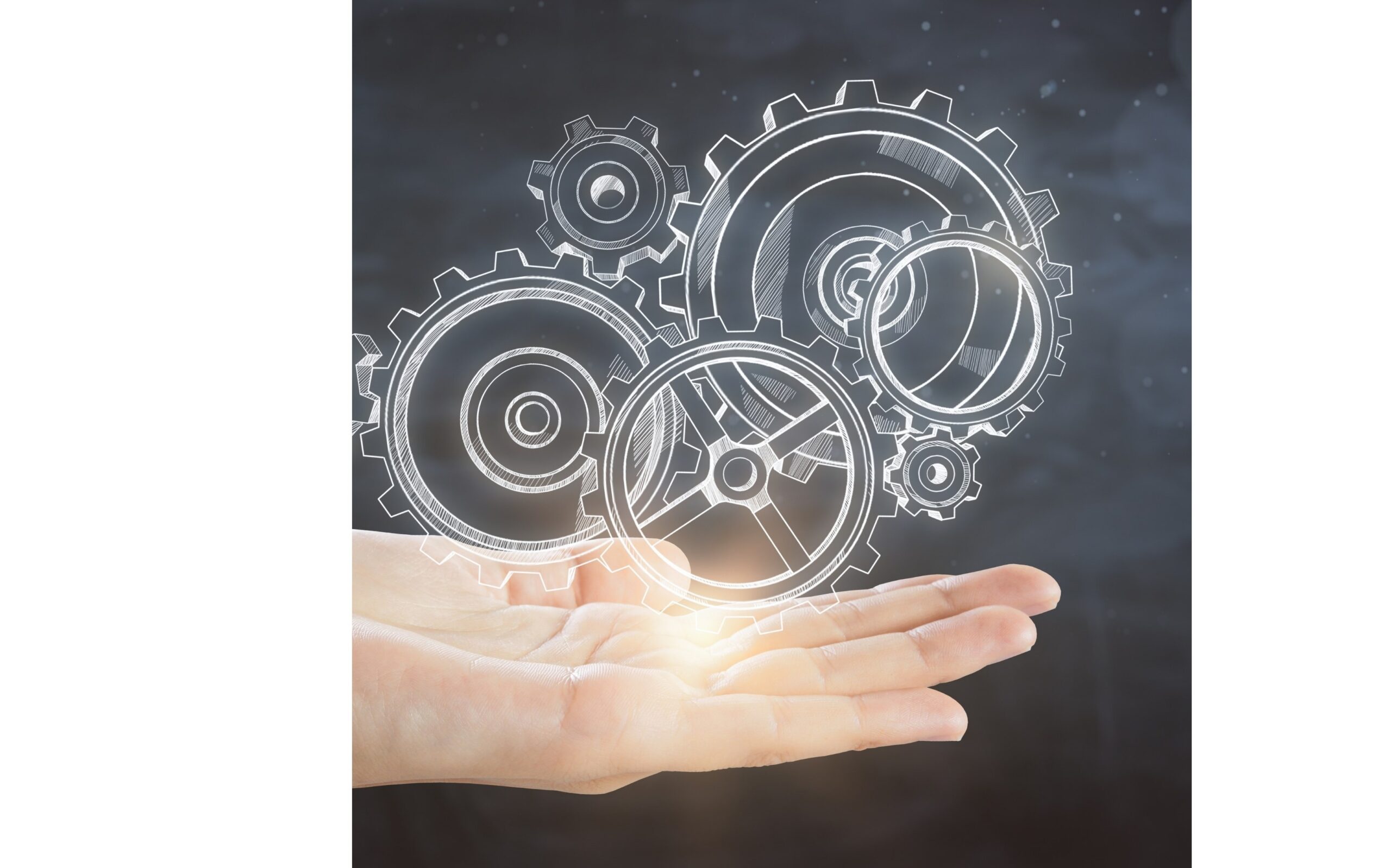 3. Execute with Discipline